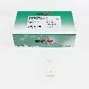 [IHBCB-302] Khay thử xét nghiệm định tính kháng thể HBcAb [Trueline™ HBcAb Rapid Test] (Hộp 40)